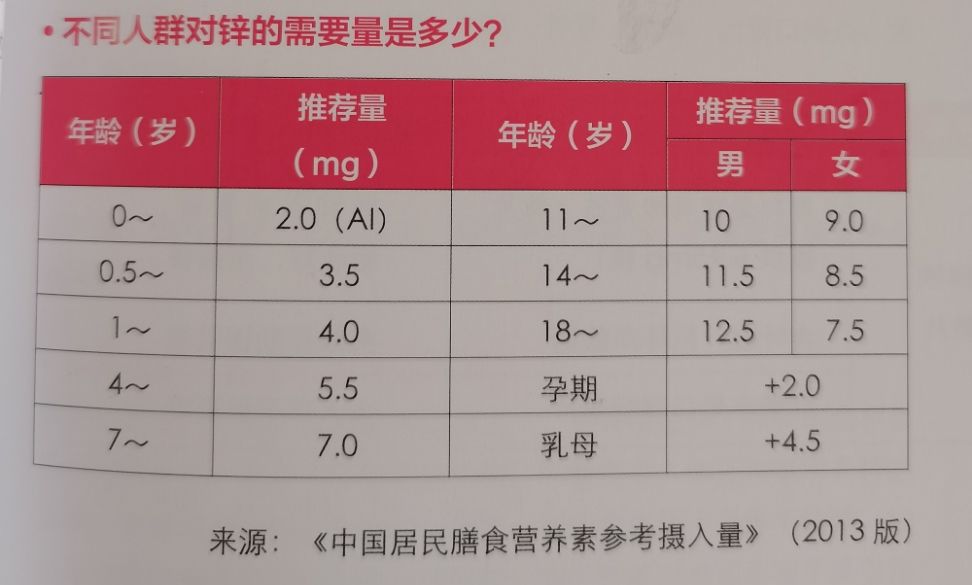 锌镁片，微量元素的力量与人体健康的重要性