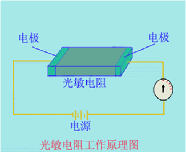 学智能编程，开启未来的关键技能